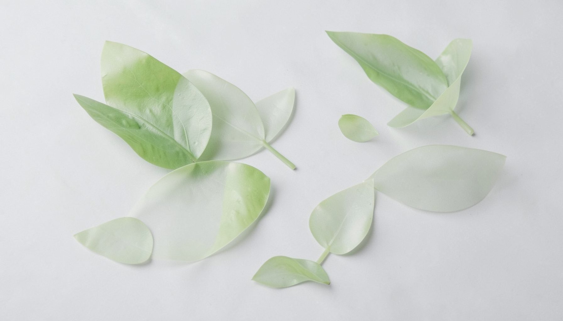 Soft green leaf-like shapes on a light grey background, evoking a calm and clear reading atmosphere
