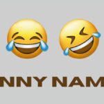 From Puns to Puns: The Witty World of Funny Names