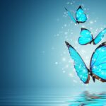 The Psychology of Cyanová: What This Color Says About Us