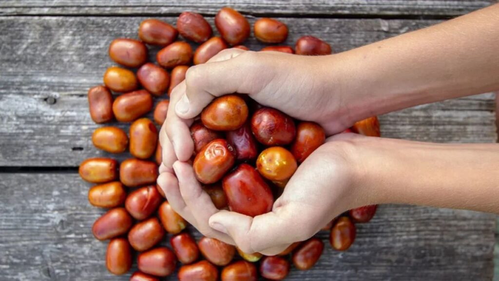 Top 5 Health Benefits of Incorporating Žižole into Your Diet