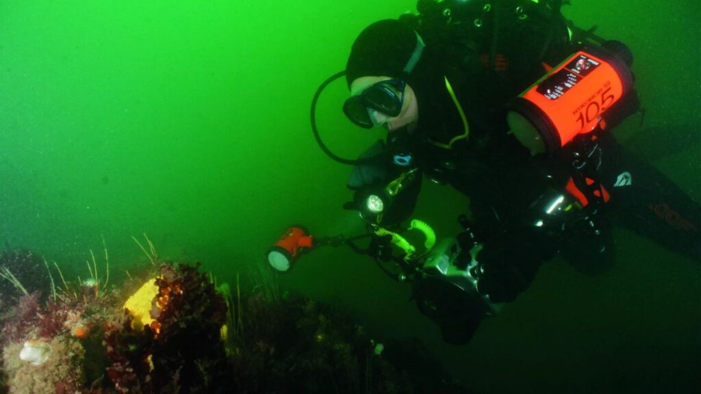 F95 Uncovered: What You Need to Know Before Diving In
