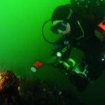 F95 Uncovered: What You Need to Know Before Diving In