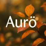 The Allure of Aurö: Exploring Its Unique Features and Benefits