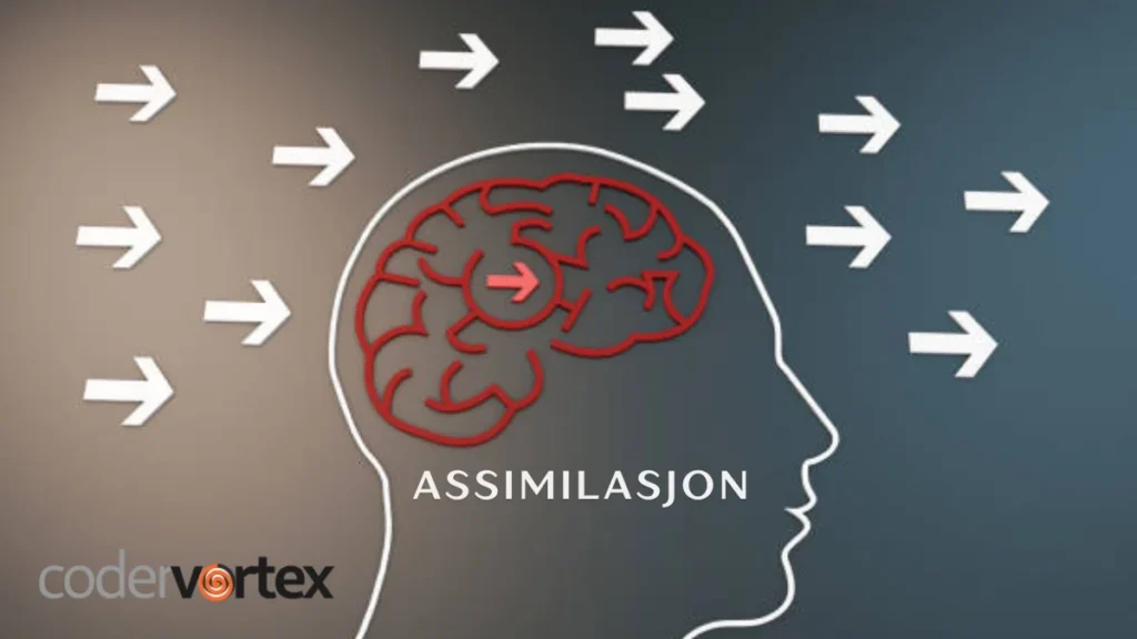 assimilasjon