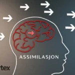 Assimilasjon: From Migration Roots to Contemporary Identity