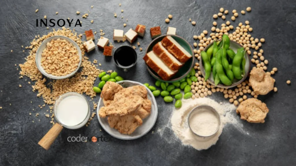Insoya: Redefining Plant-Based Protein for a Sustainable Future