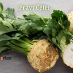 Pravi Celer: Boost Health & Flavor with This Versatile Veggie