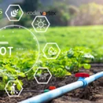 Irri Sys: Innovative Irrigation & Agriculture Solutions Explained