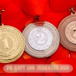 Pg Soft 100 Juara100.org: Champion Medal Guide for Elite Gamers