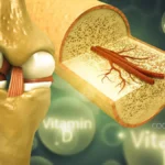 Glucosamax: Natural Relief for Joint Pain and Flexibility