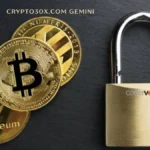Crypto30x.com Gemini: Secure Trading Insights & Advanced Tools